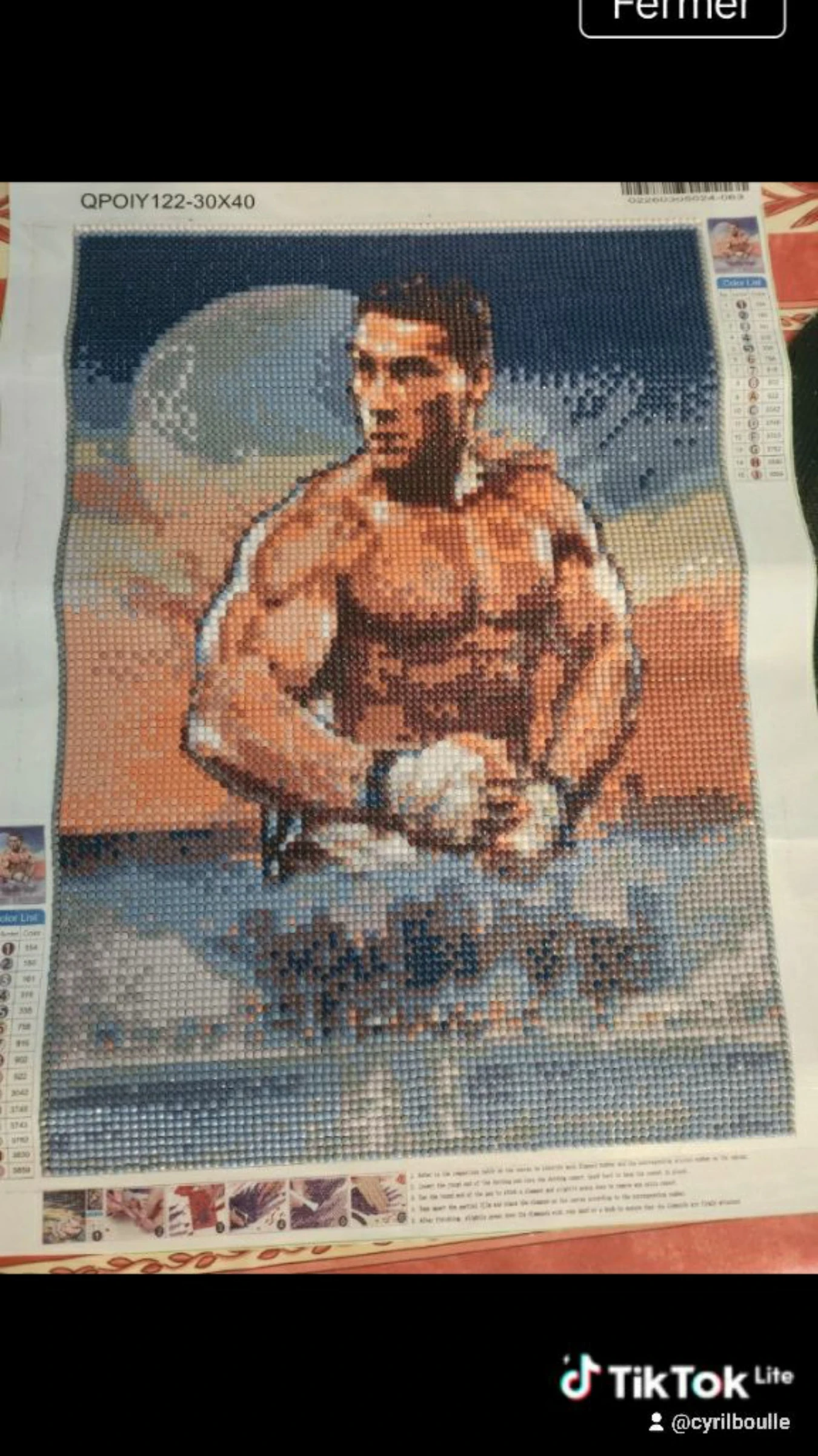 Diamond painting  jean Claude van damme 